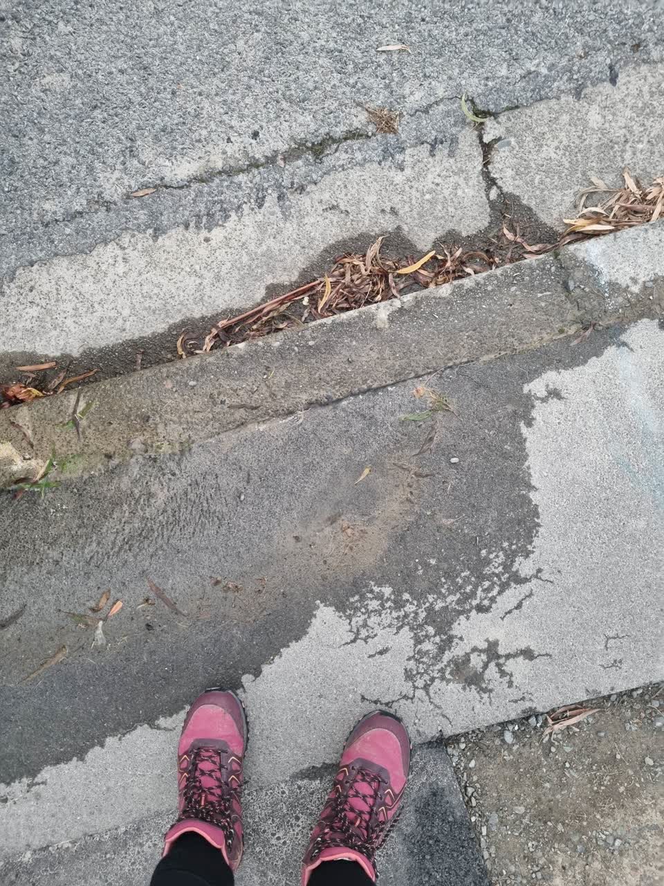 The photograph attached to this water leak report