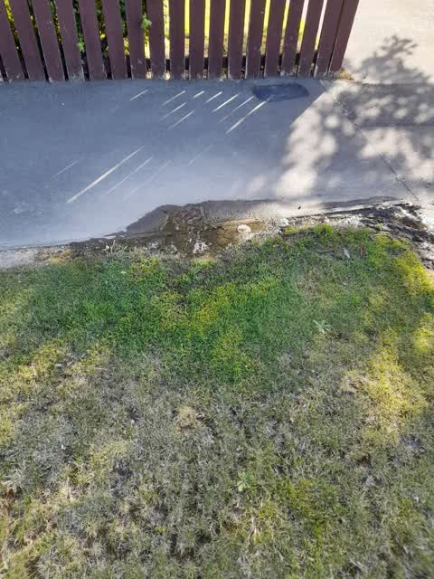 Water Leak, a report photo