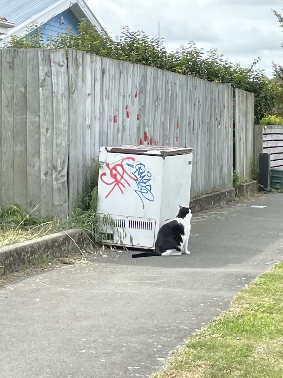 The photograph attached to this rubbish/recycling report