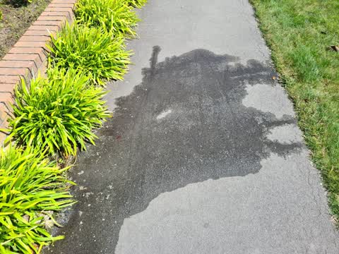 Water Leak, a report photo
