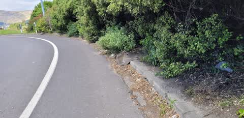 Roading/Streets — a report photo