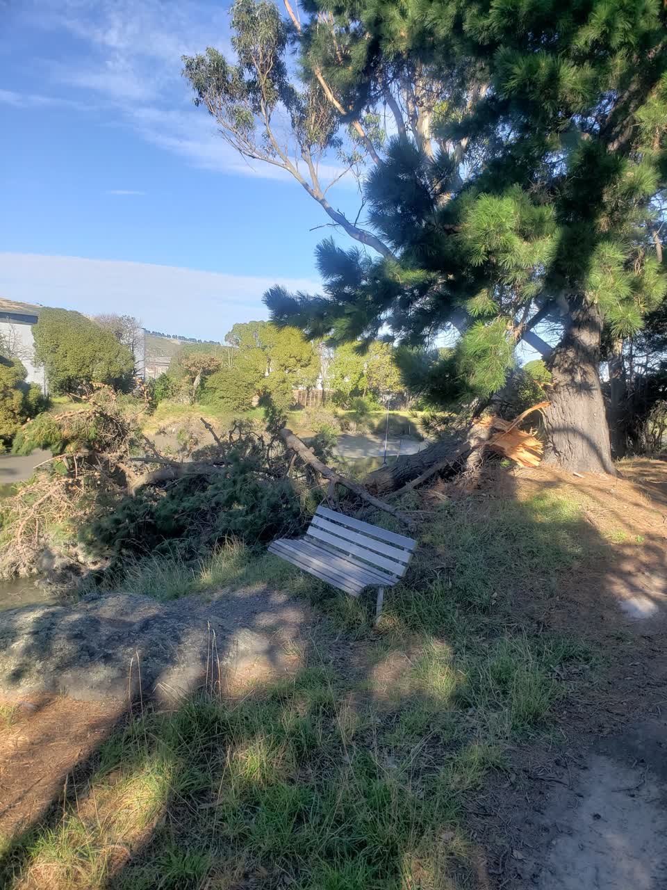 The photograph attached to this parks report