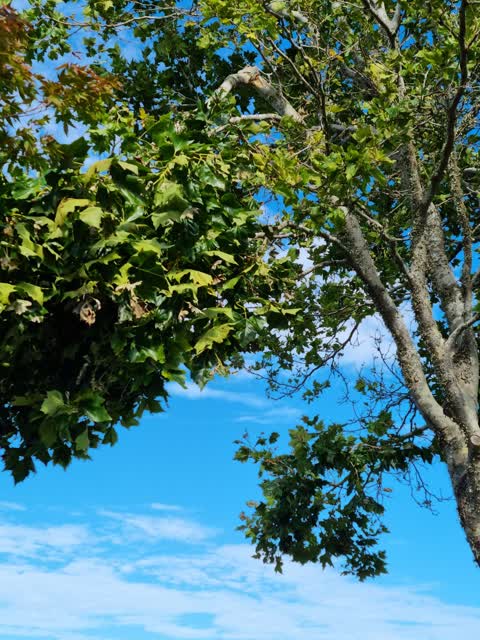 Roading/Streets, a report photo