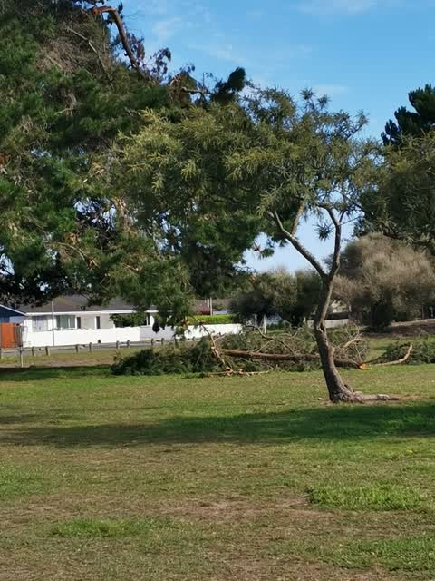 Parks, a report photo