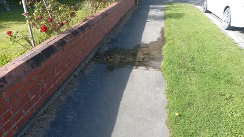 Water Leak, a report photo