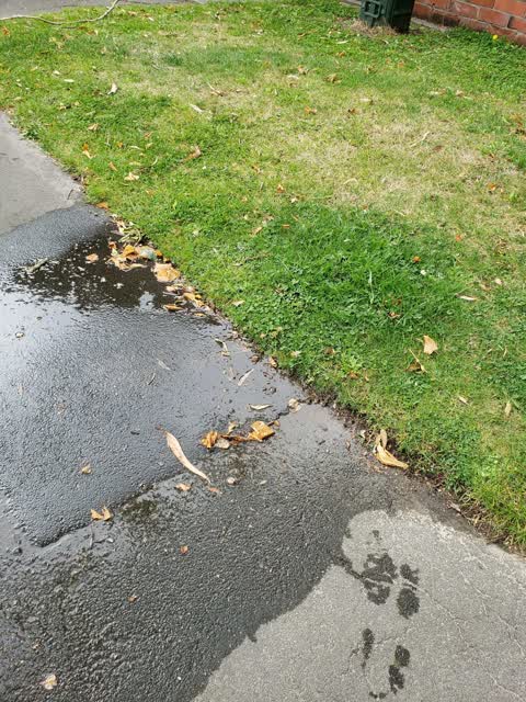 Water Leak, a report photo