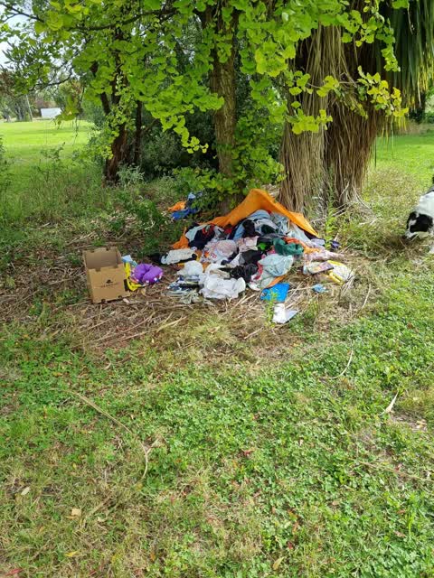 Parks, a report photo