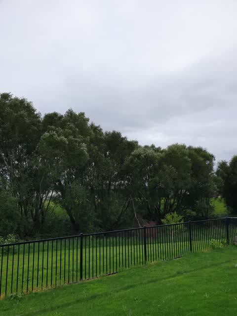 Parks, a report photo