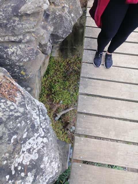 Roading/Streets, a report photo