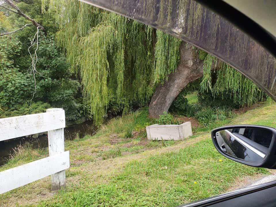 The photograph attached to this parks report