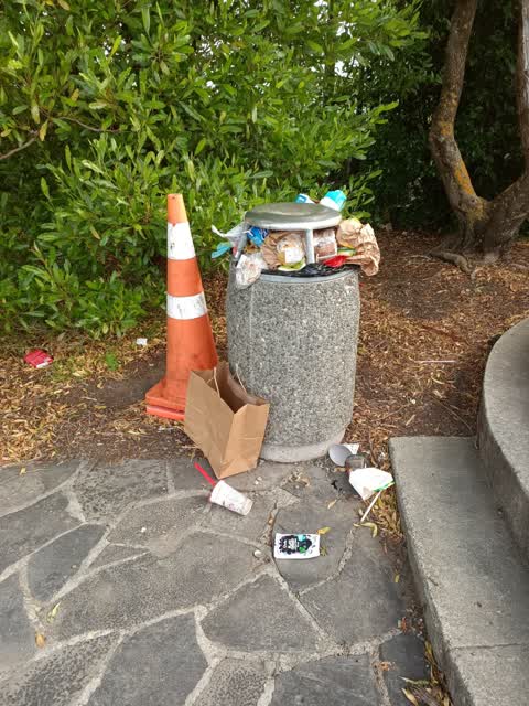 Rubbish/Recycling, a report photo