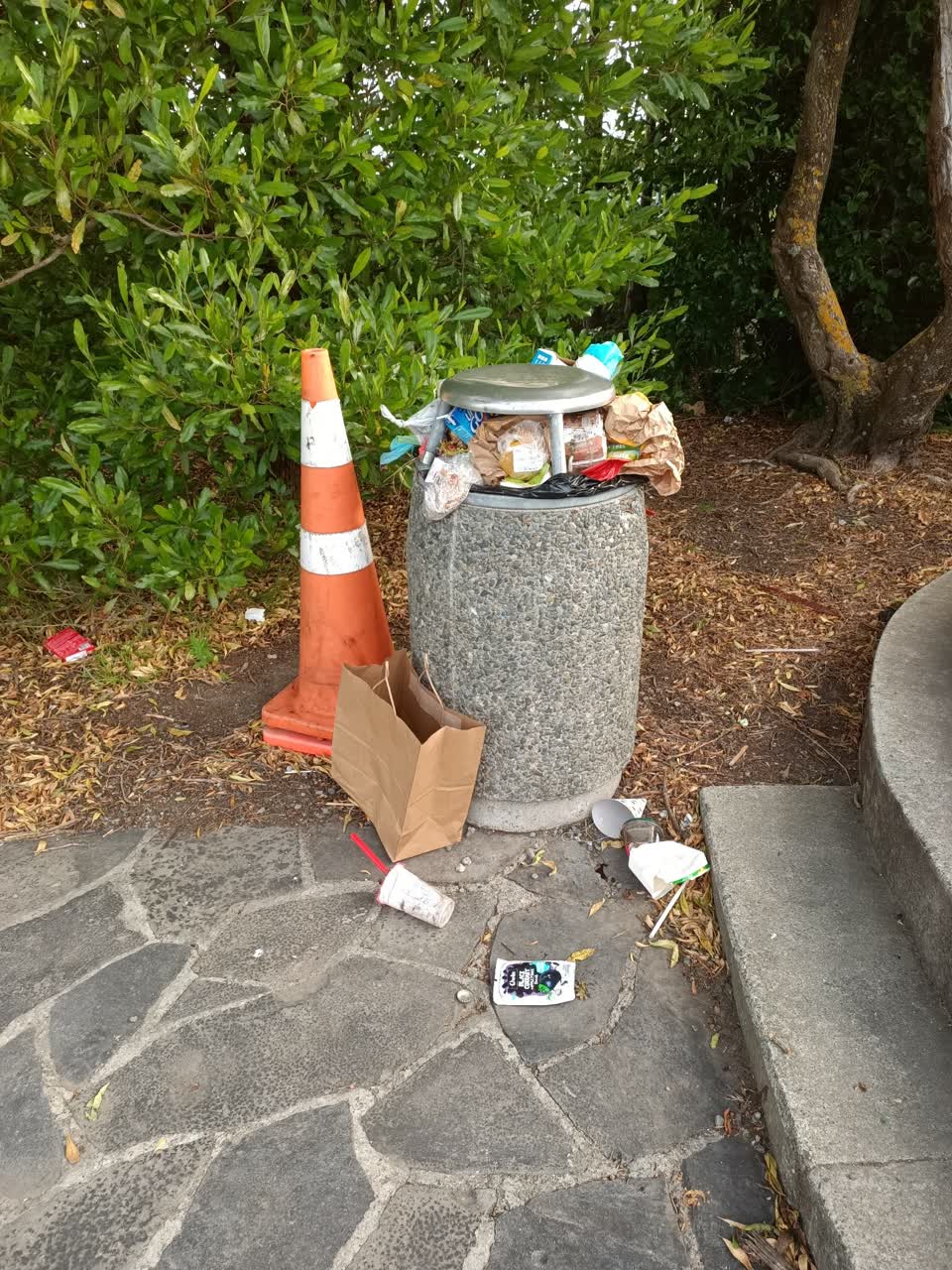 The photograph attached to this rubbish/recycling report