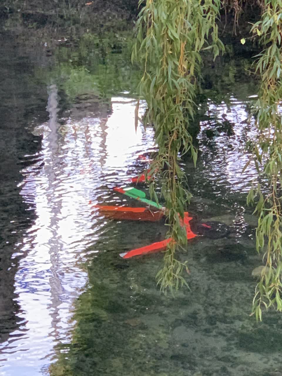 The photograph attached to this parks report