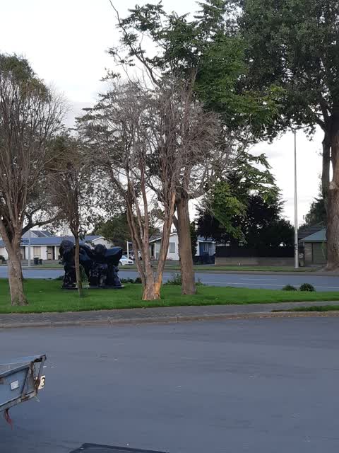 Parks, a report photo