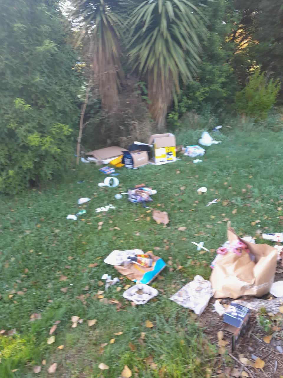 The photograph attached to this parks report
