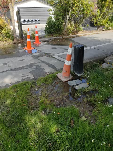 Water Leak, a report photo