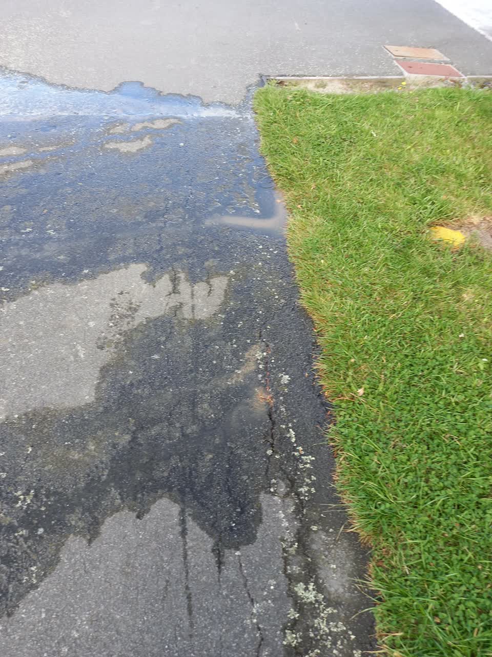 The photograph attached to this water leak report