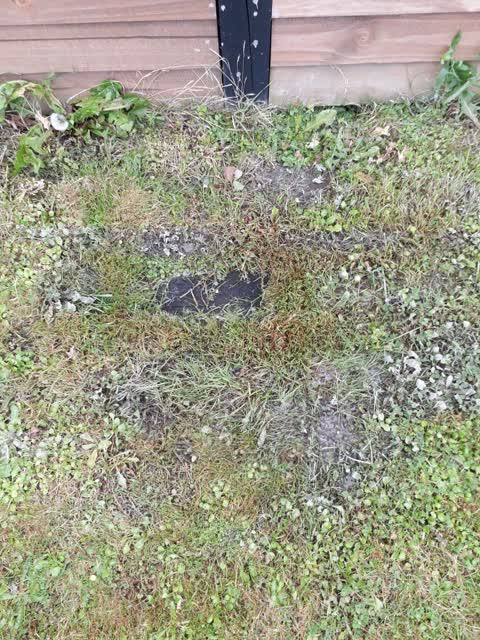 Water Leak, a report photo