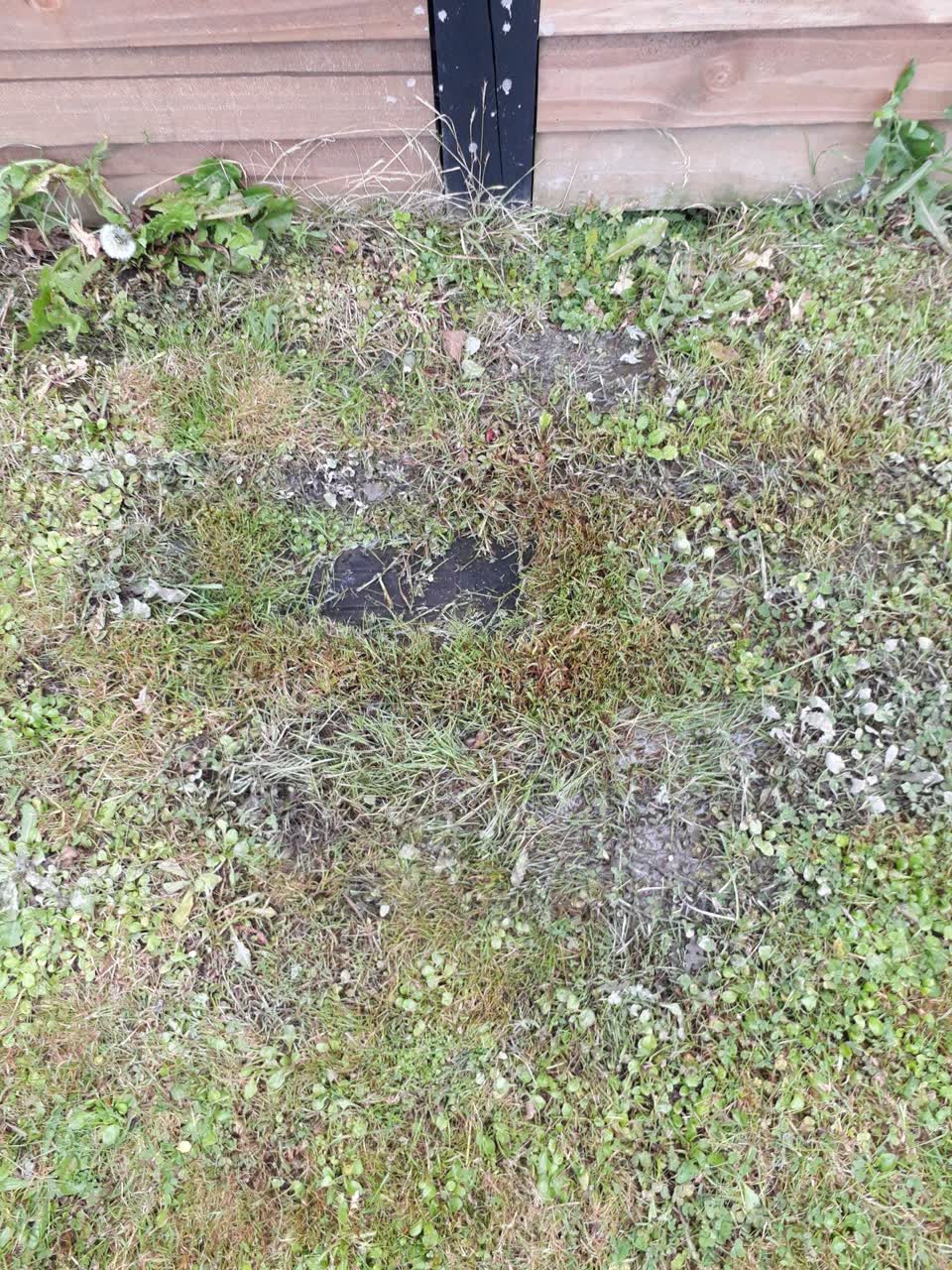 The photograph attached to this water leak report