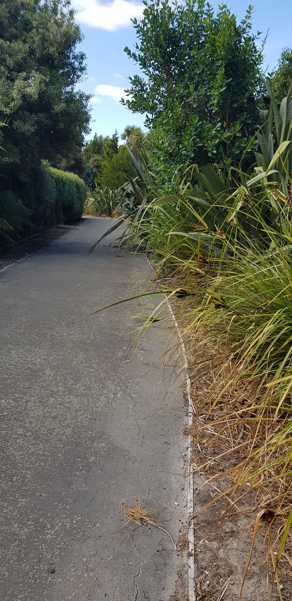 The photograph attached to this parks report
