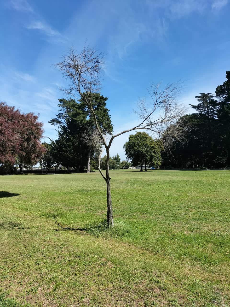 The photograph attached to this parks report