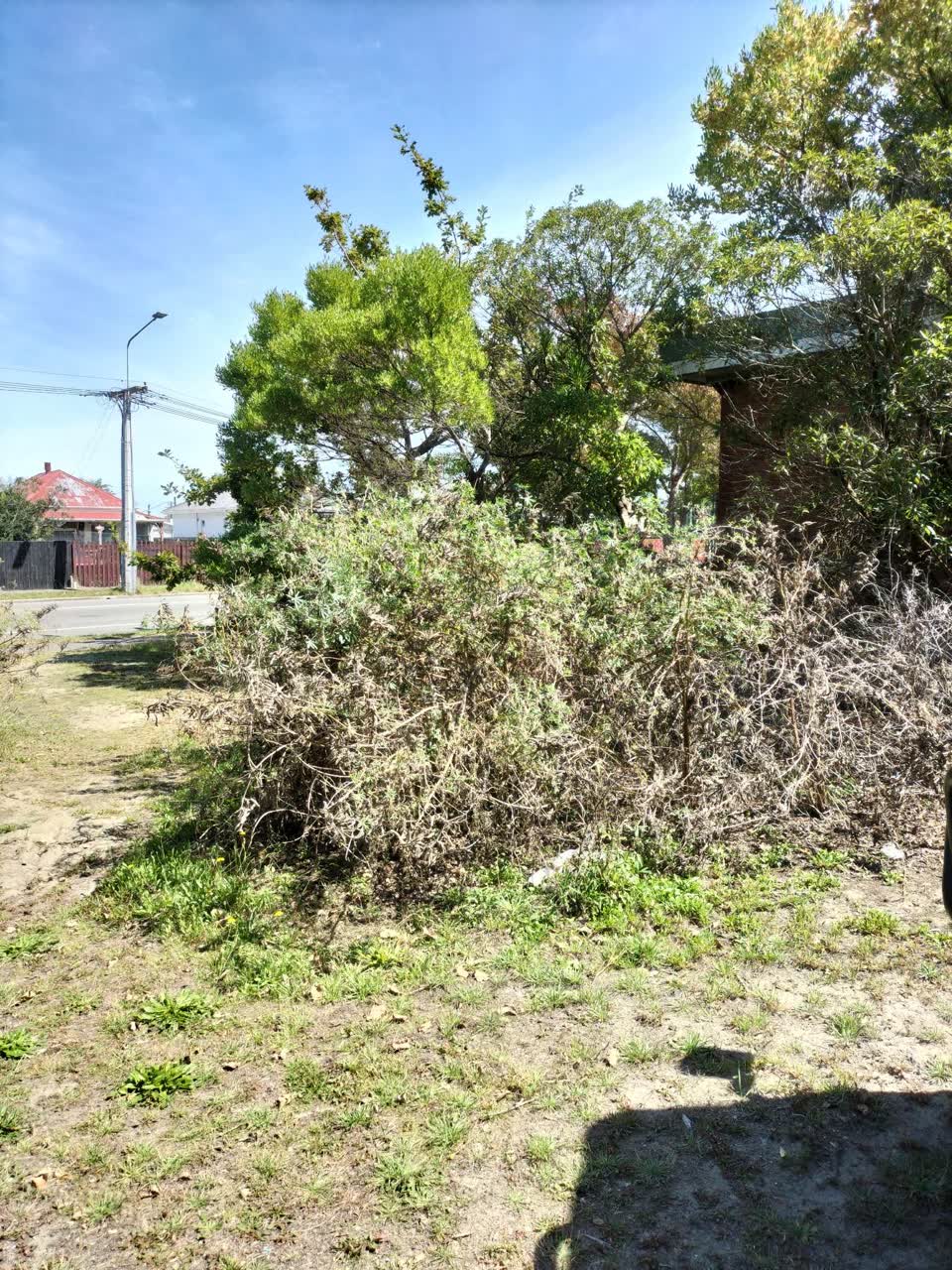 The photograph attached to this parks report