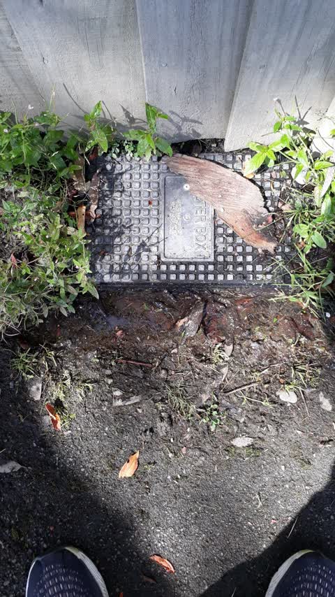 Water Leak, a report photo