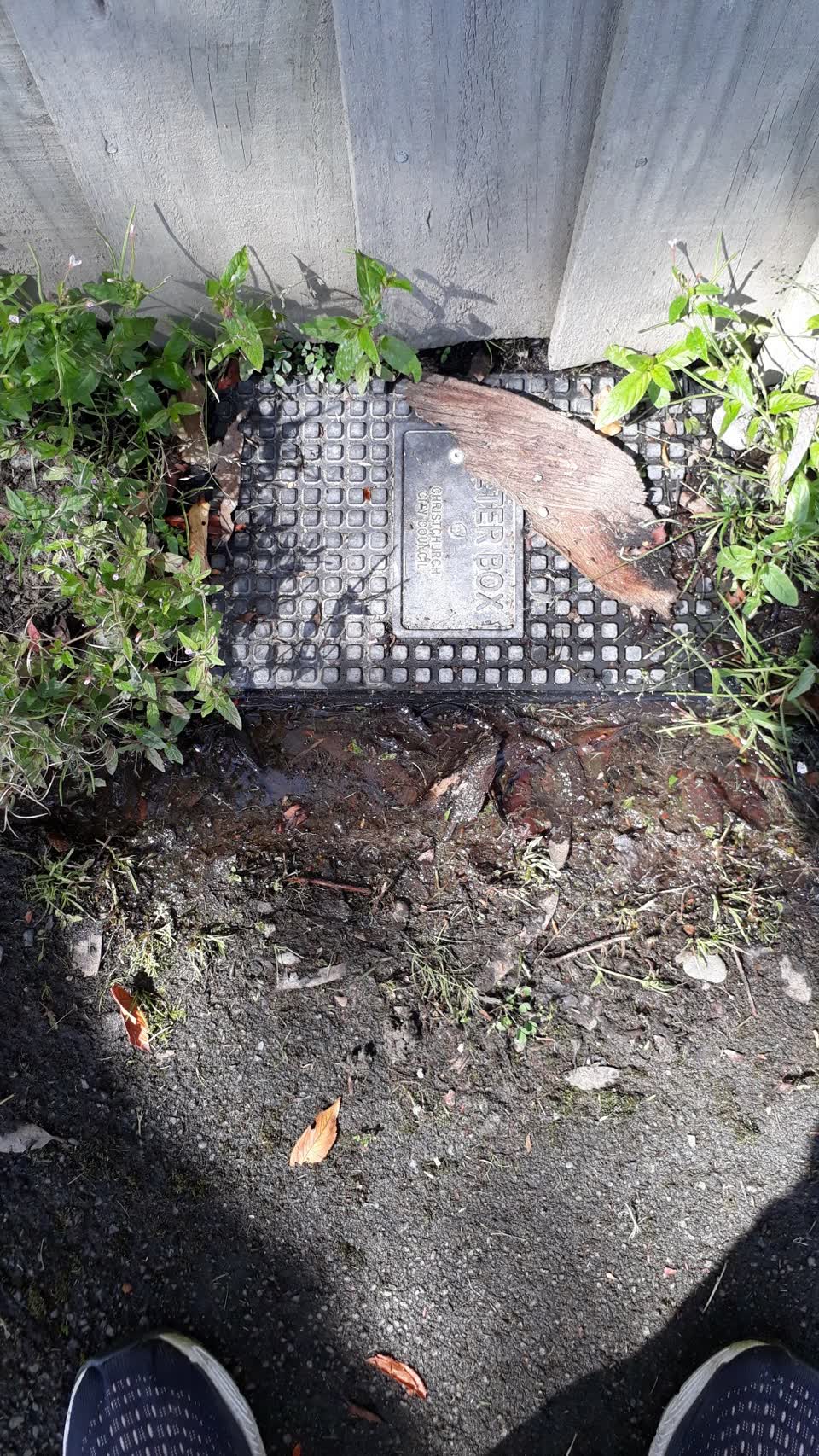 The photograph attached to this water leak report