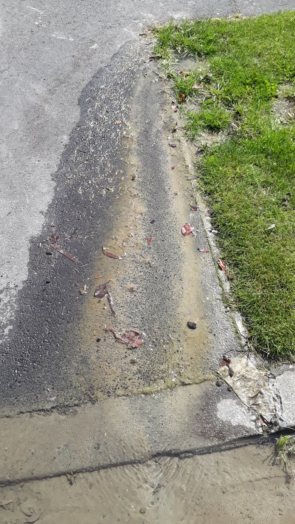 The photograph attached to this wastewater/stormwater report