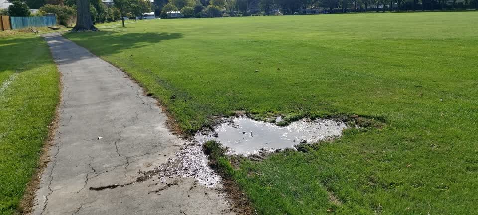 The photograph attached to this parks report