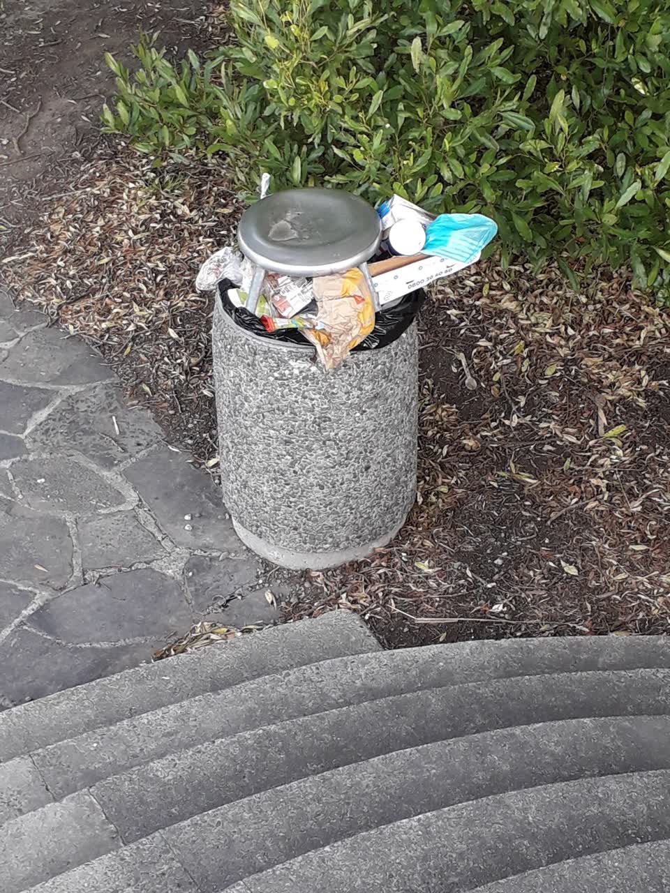 The photograph attached to this parks report