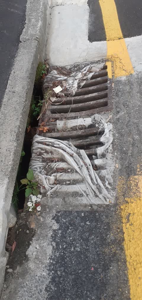Wastewater/Stormwater, a report photo