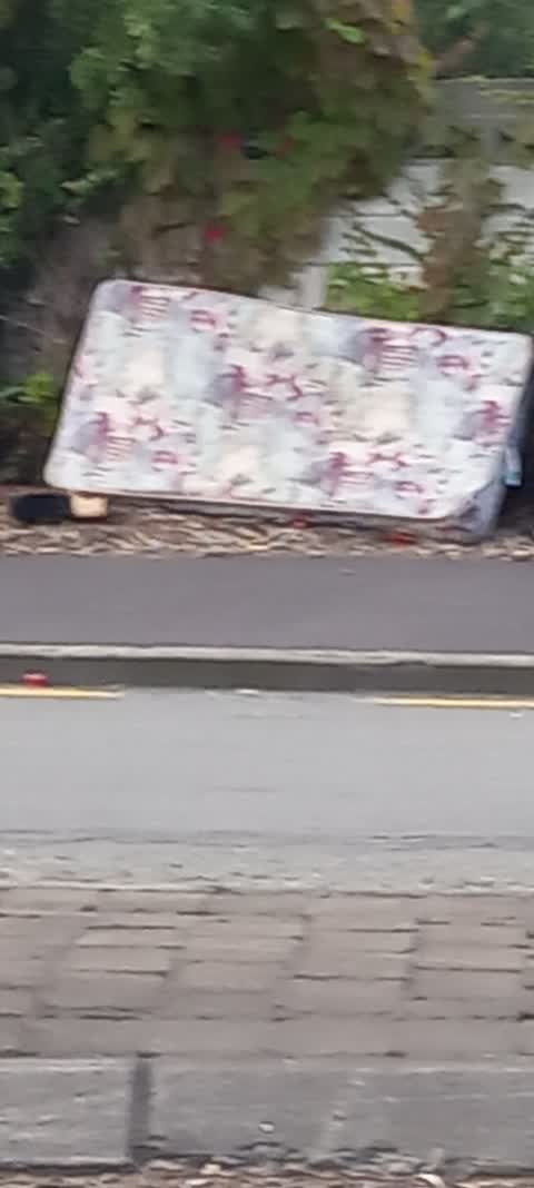 Rubbish/Recycling, a report photo