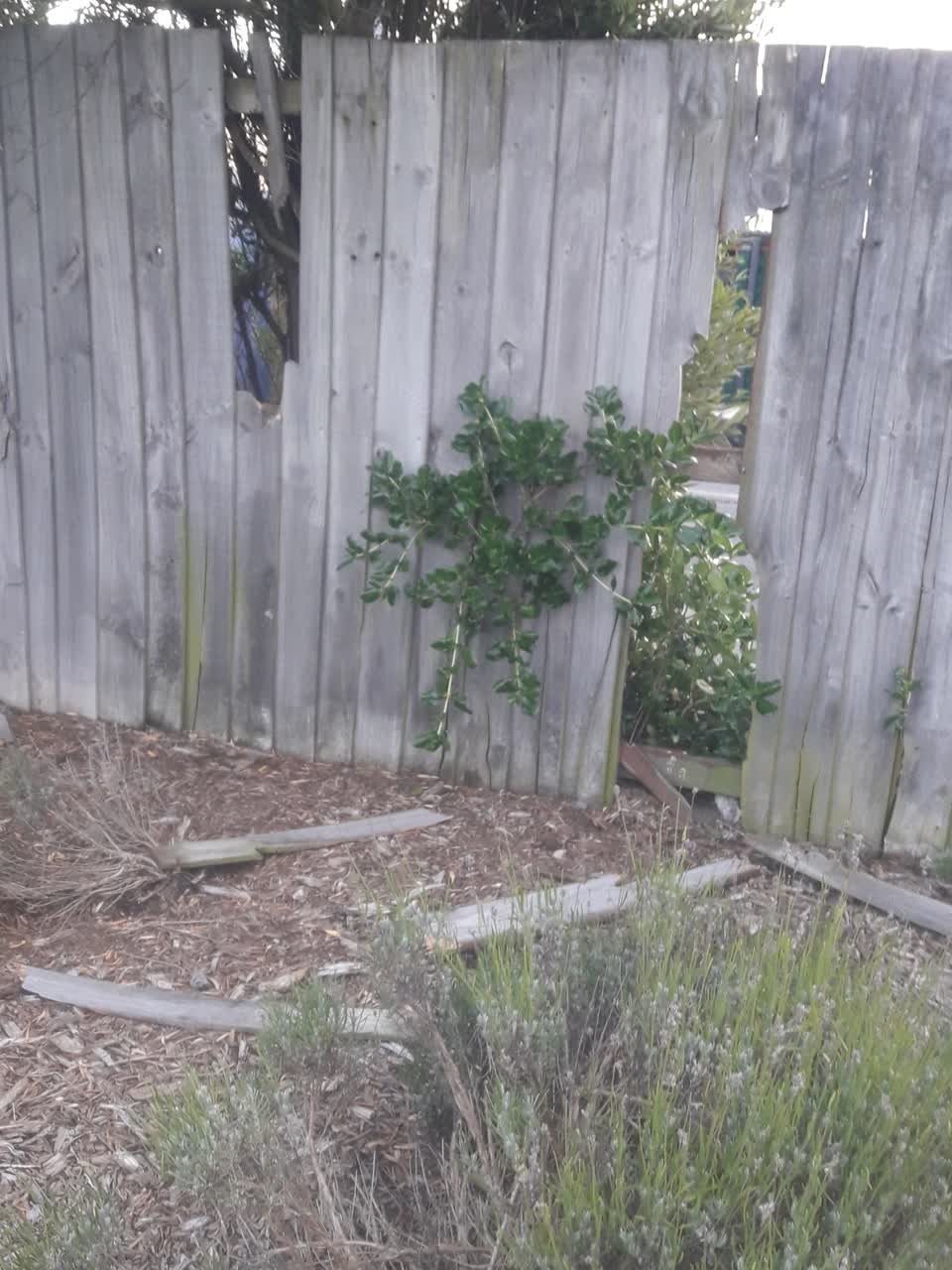 The photograph attached to this parks report
