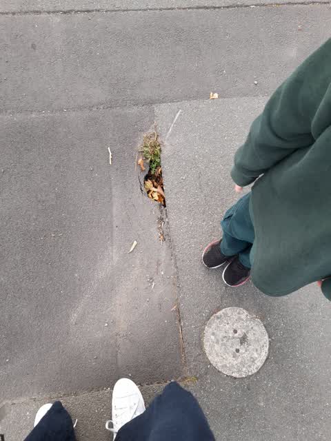 Roading/Streets — a report photo