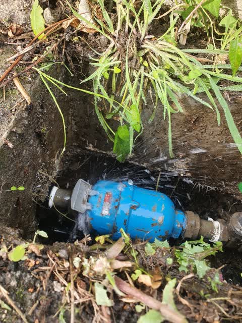 Water Leak, a report photo