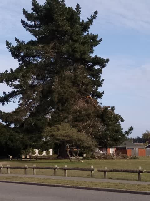 Parks, a report photo