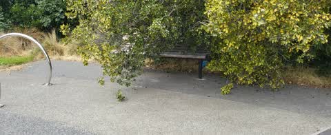Parks, a report photo