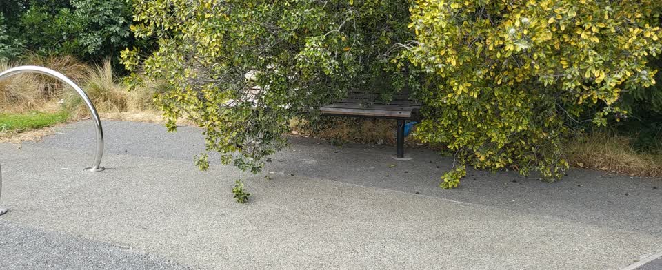The photograph attached to this parks report