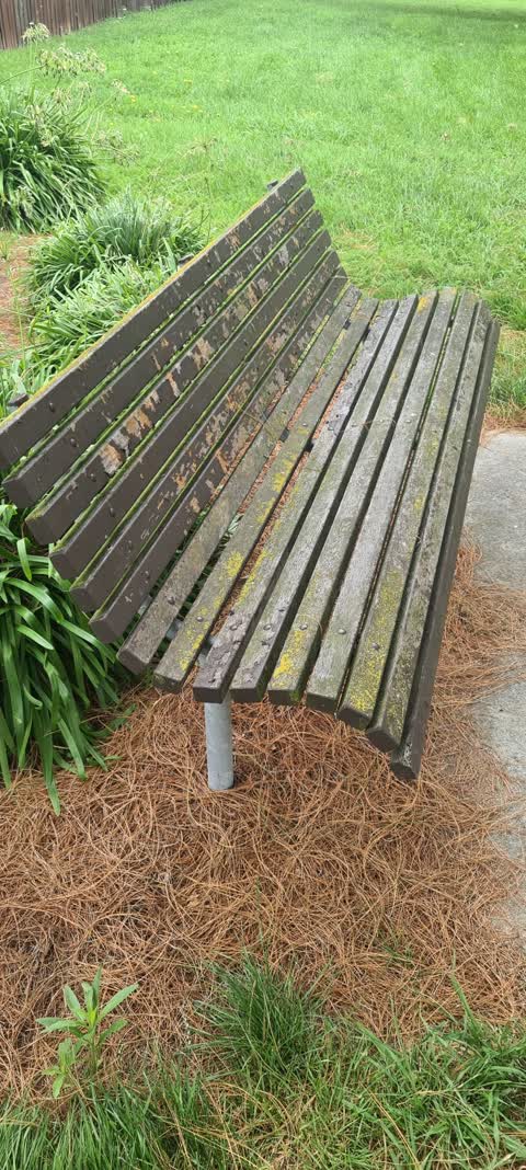 Parks, a report photo