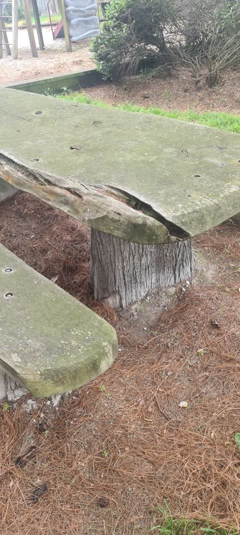 Parks, a report photo