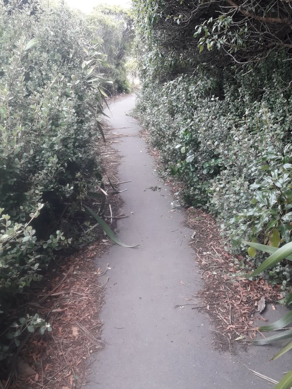 The photograph attached to this parks report