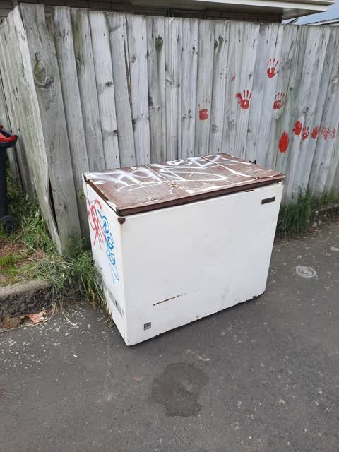 Rubbish/Recycling, a report photo