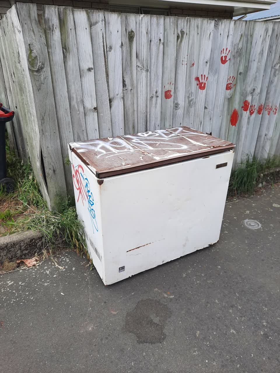The photograph attached to this rubbish/recycling report