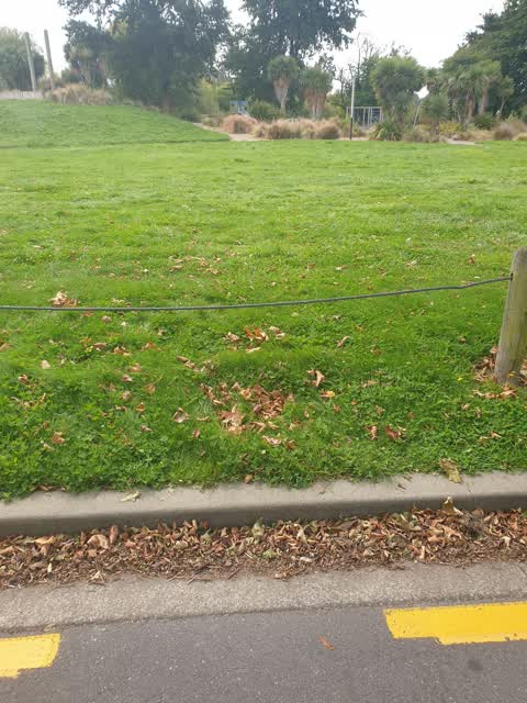 Parks, a report photo