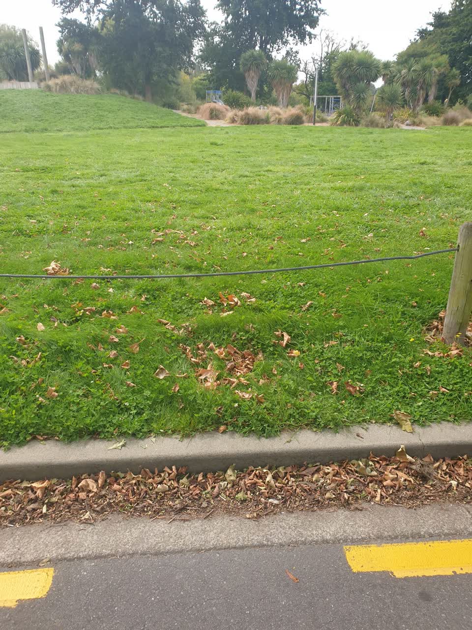 The photograph attached to this parks report