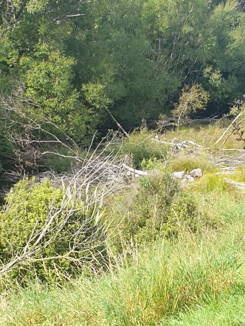 Parks, a report photo
