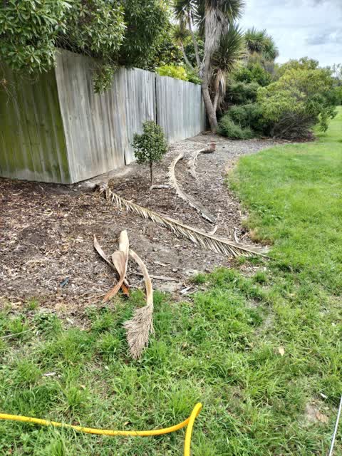 Parks, a report photo