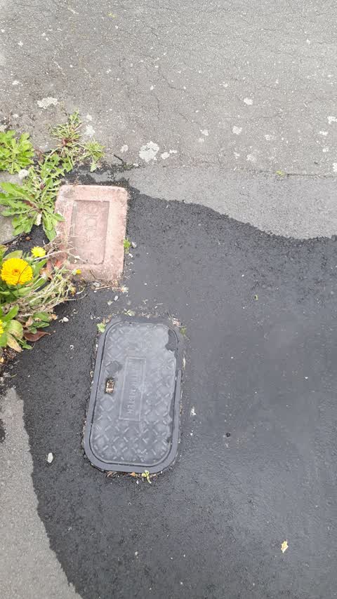 Water Leak, a report photo