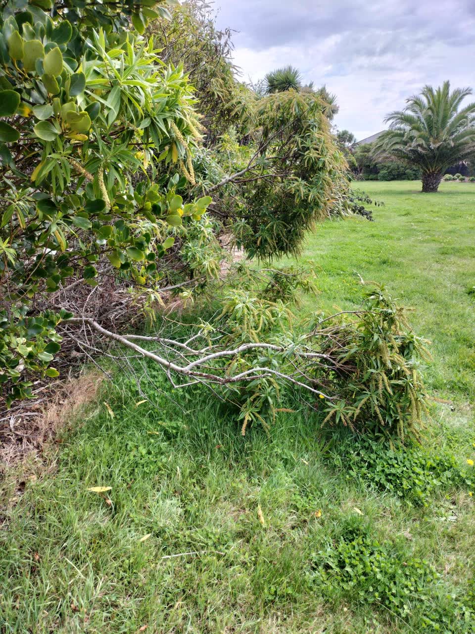 The photograph attached to this parks report